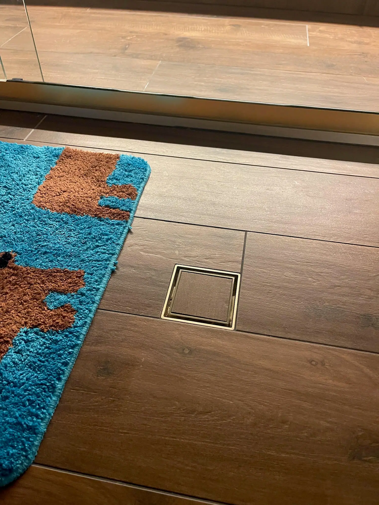 Timber-look floor tiles with a brass tile-insert floor waste beside the shower screen and a child's bath mat, Wanniassa home